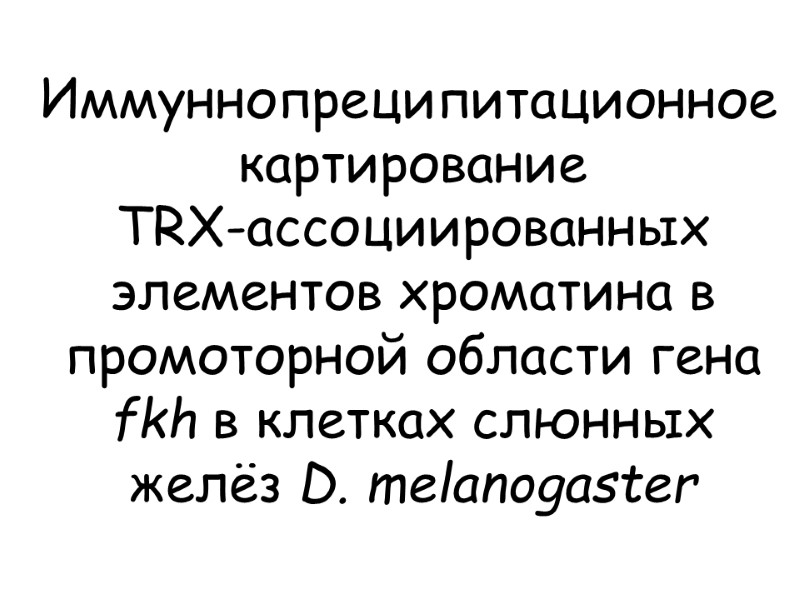 Иммуннопреципитационное картирование  TRX-ассоциированных элементов хроматина в промоторной области гена fkh в клетках слюнных